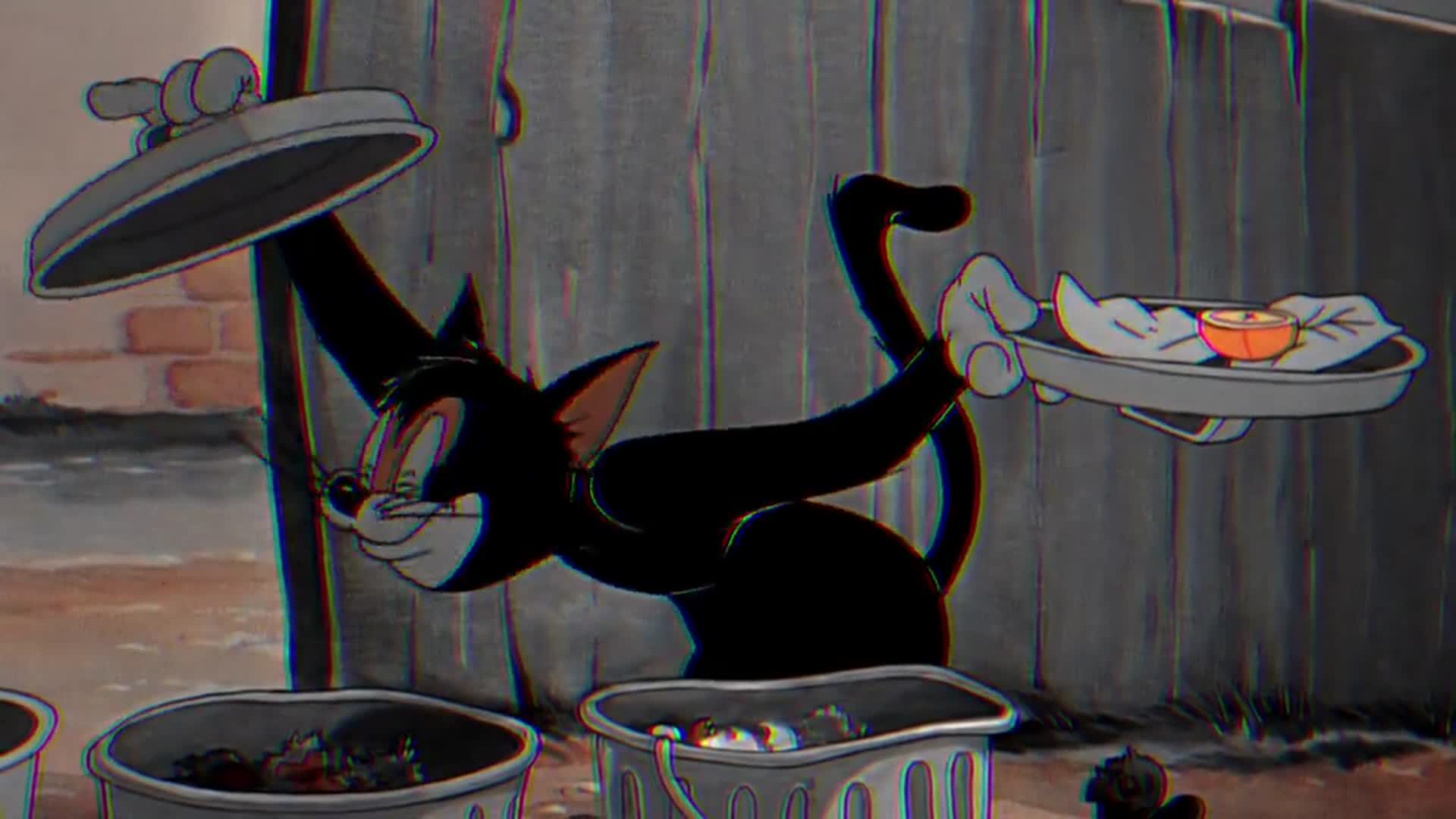 猫和老鼠老黑:我靠捡垃圾成了首富