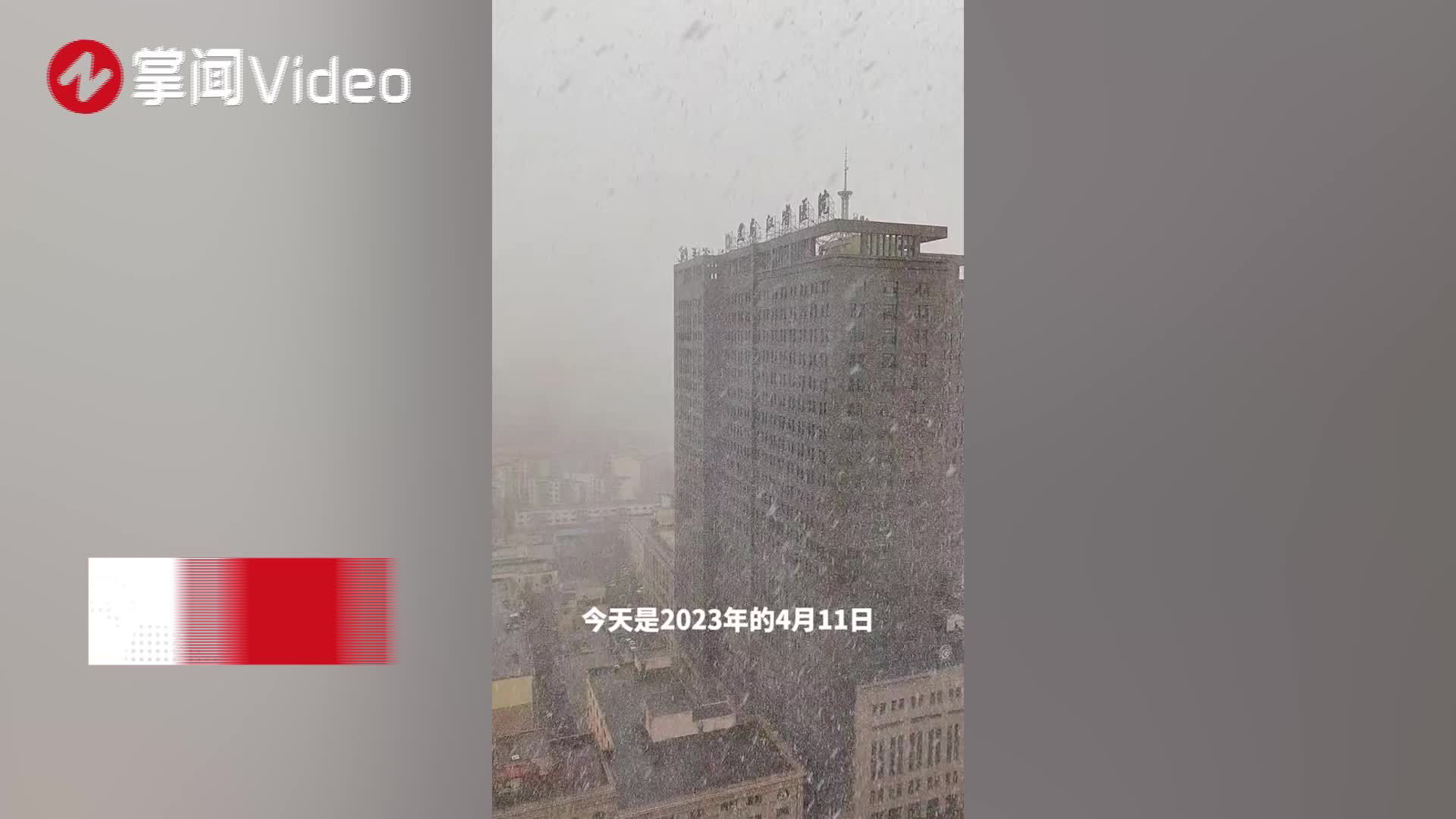 直击武汉2022年第一场雪 凌晨天空飘起鹅毛大雪花_手机新浪网