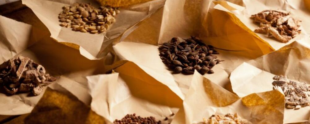 怎么判断到帕金森晚期了（第一试管网）