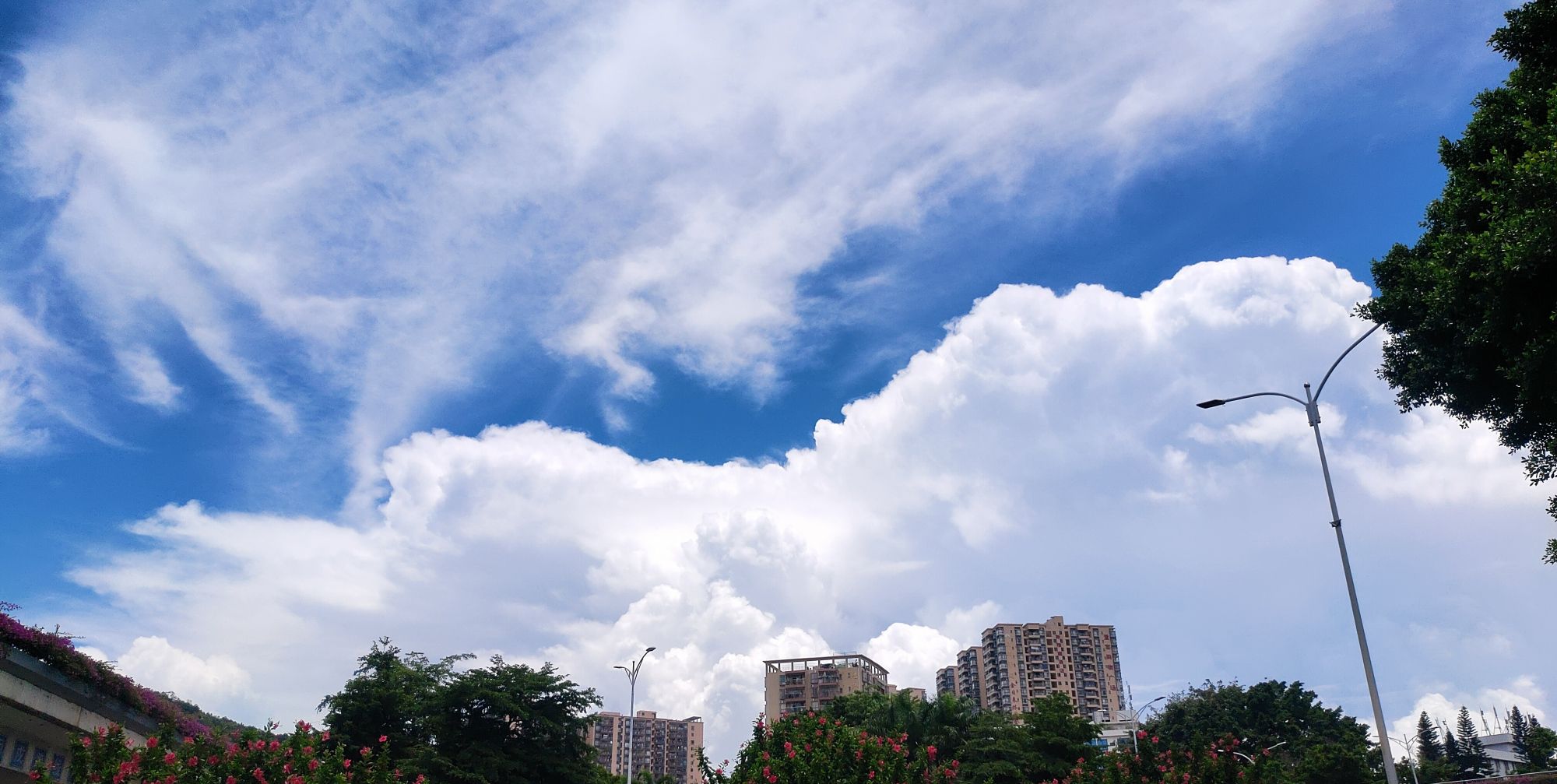 好多年的都没有看到过这么漂亮的蓝蓝白云,简直是天上少有