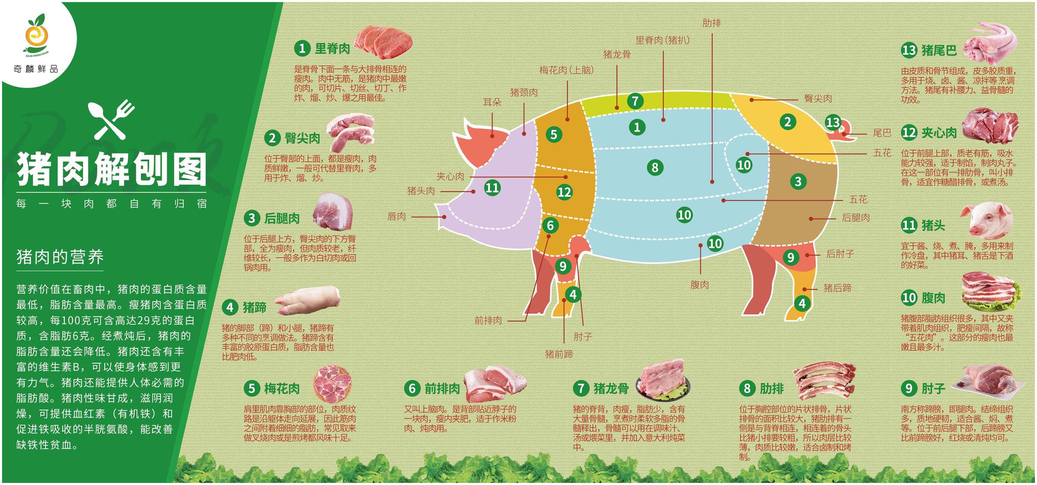 猪肉各部位图解图片