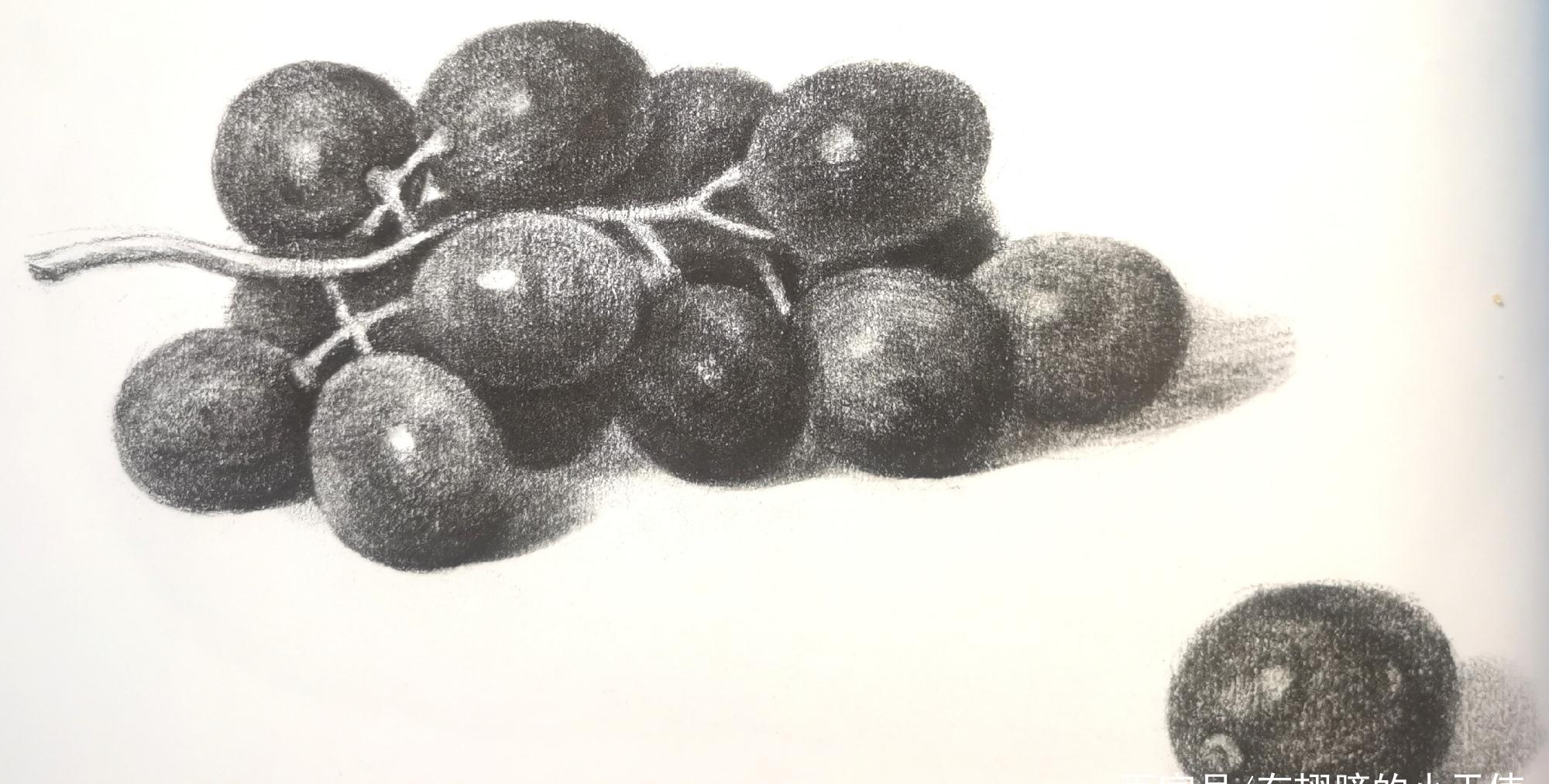 素描葡萄简单图片