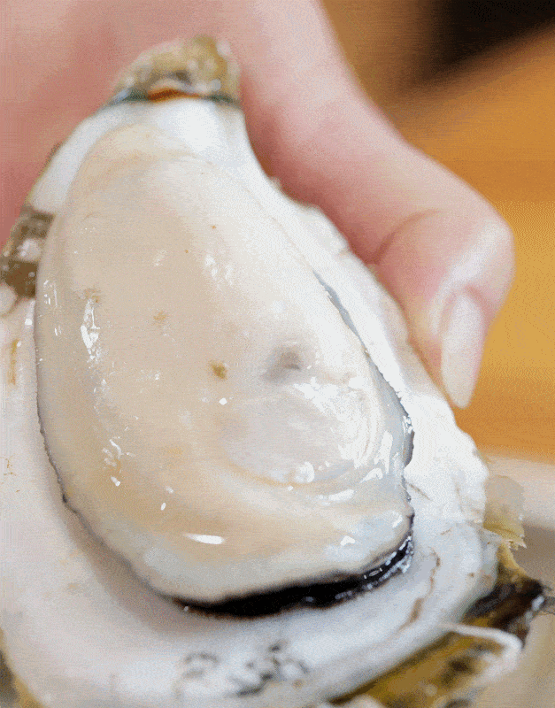 【蚝鲜生-乳山生蚝】又到一年生蚝季，鲜美的味道让你蚝气十足|牡蛎|网红|新一代|肉质|蛋白质_新浪新闻