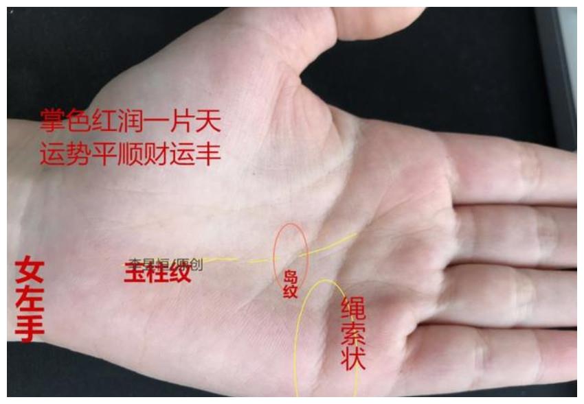 手相中希望线又叫努力纹,目标线,是从生命线始发向上延伸奔向食指的一