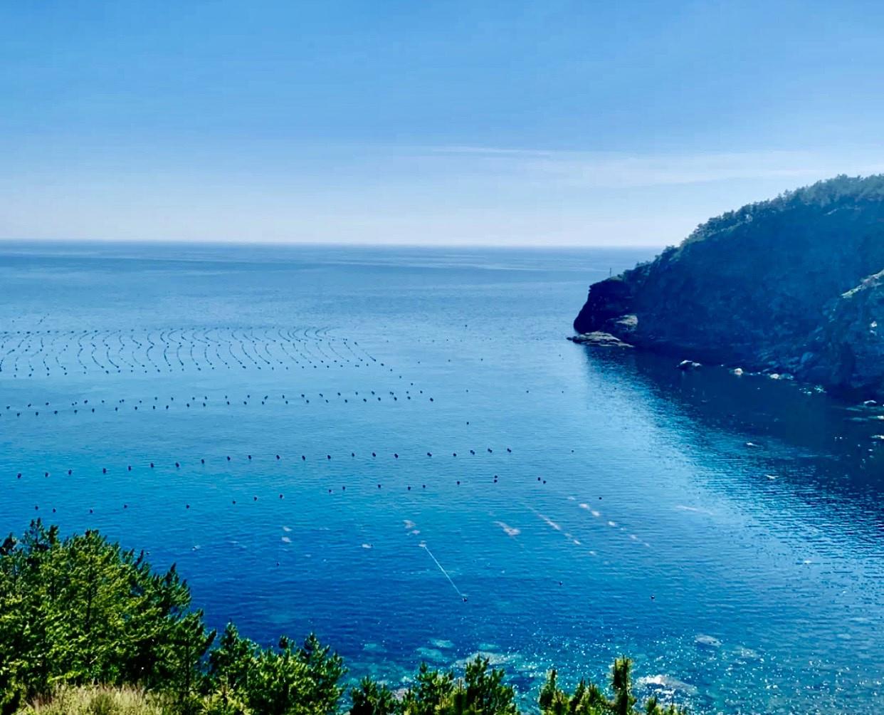 "海底银行","黄海明珠"獐子岛