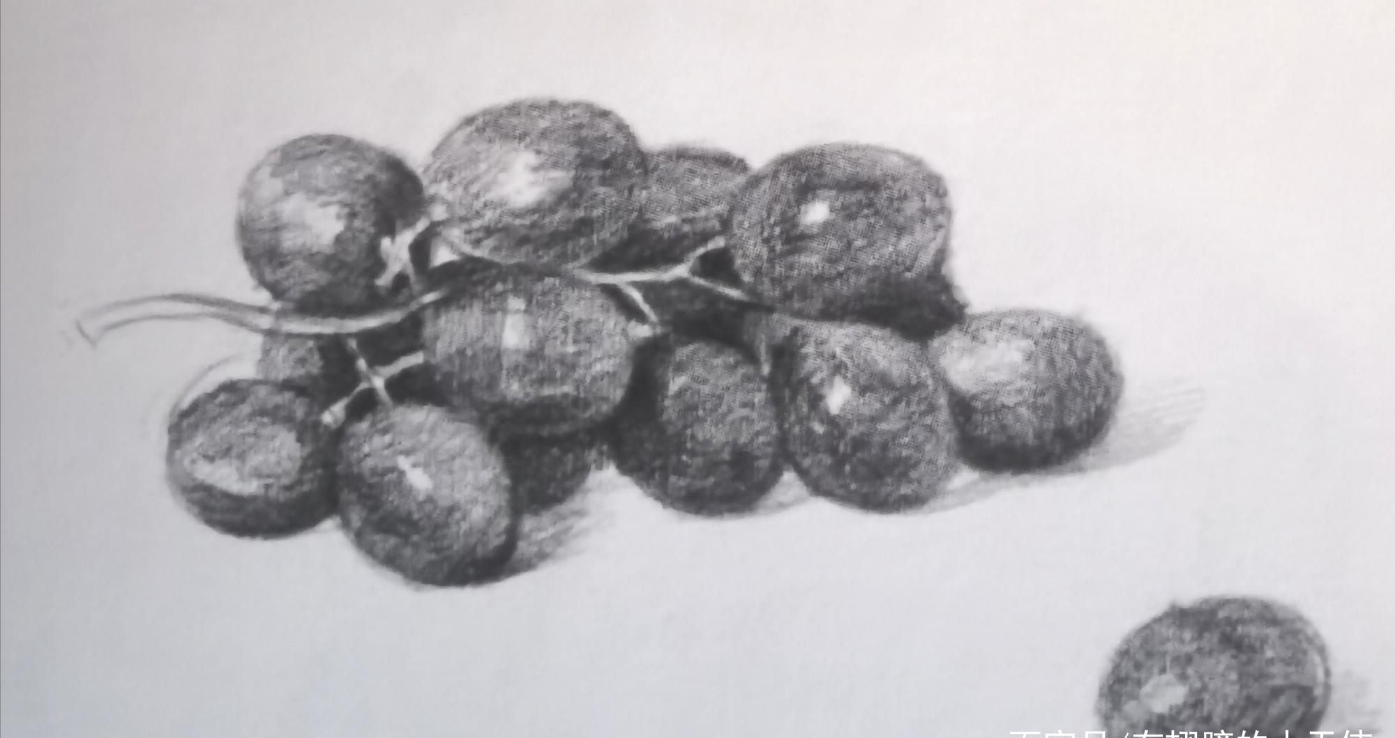 素描静物——葡萄步骤解析