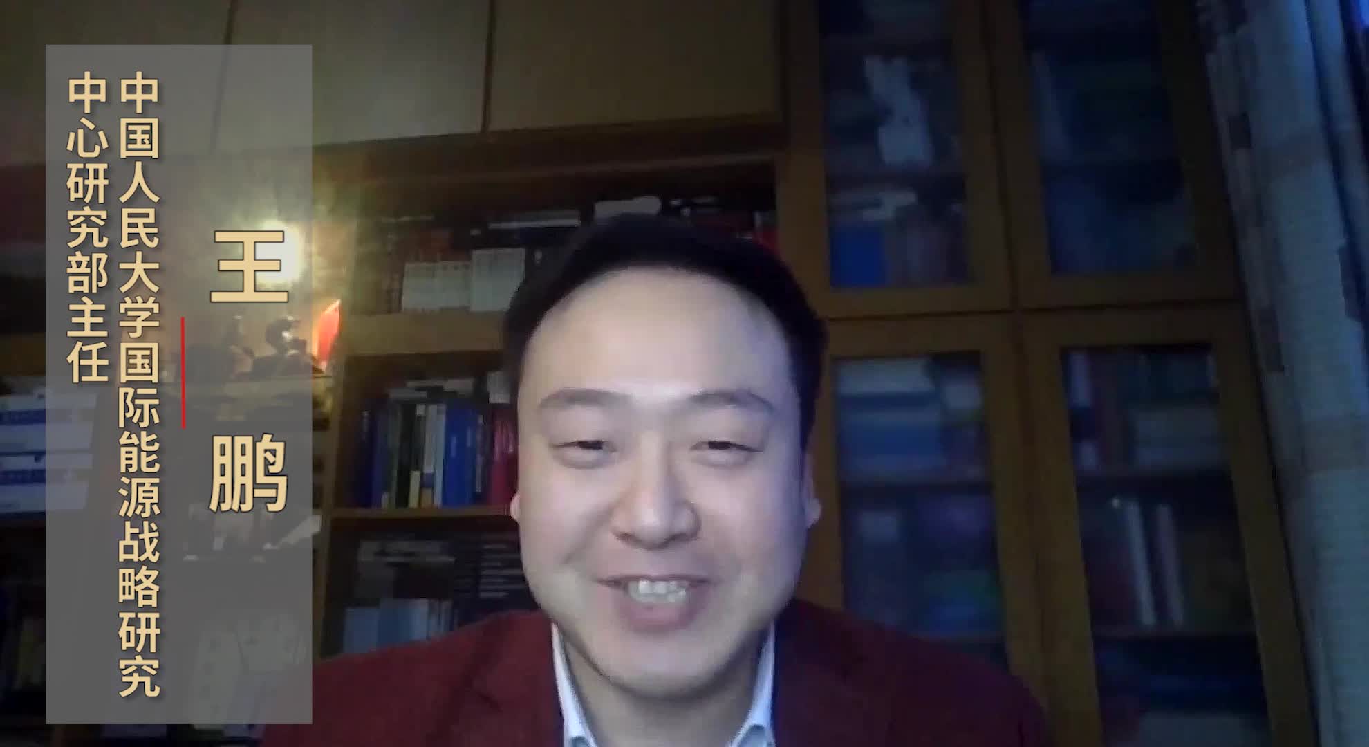 王鹏:防止“一带一路”话题被大国竞争派裹挟,加大议题绿色化_新浪新闻