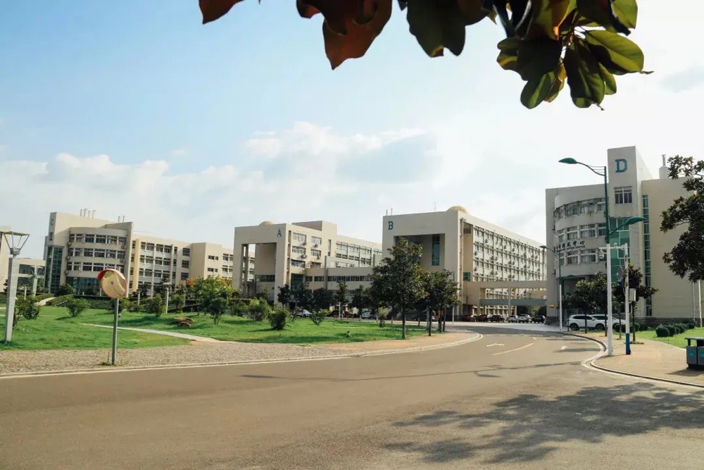 400元一小时租大学生的社会现象深度解析