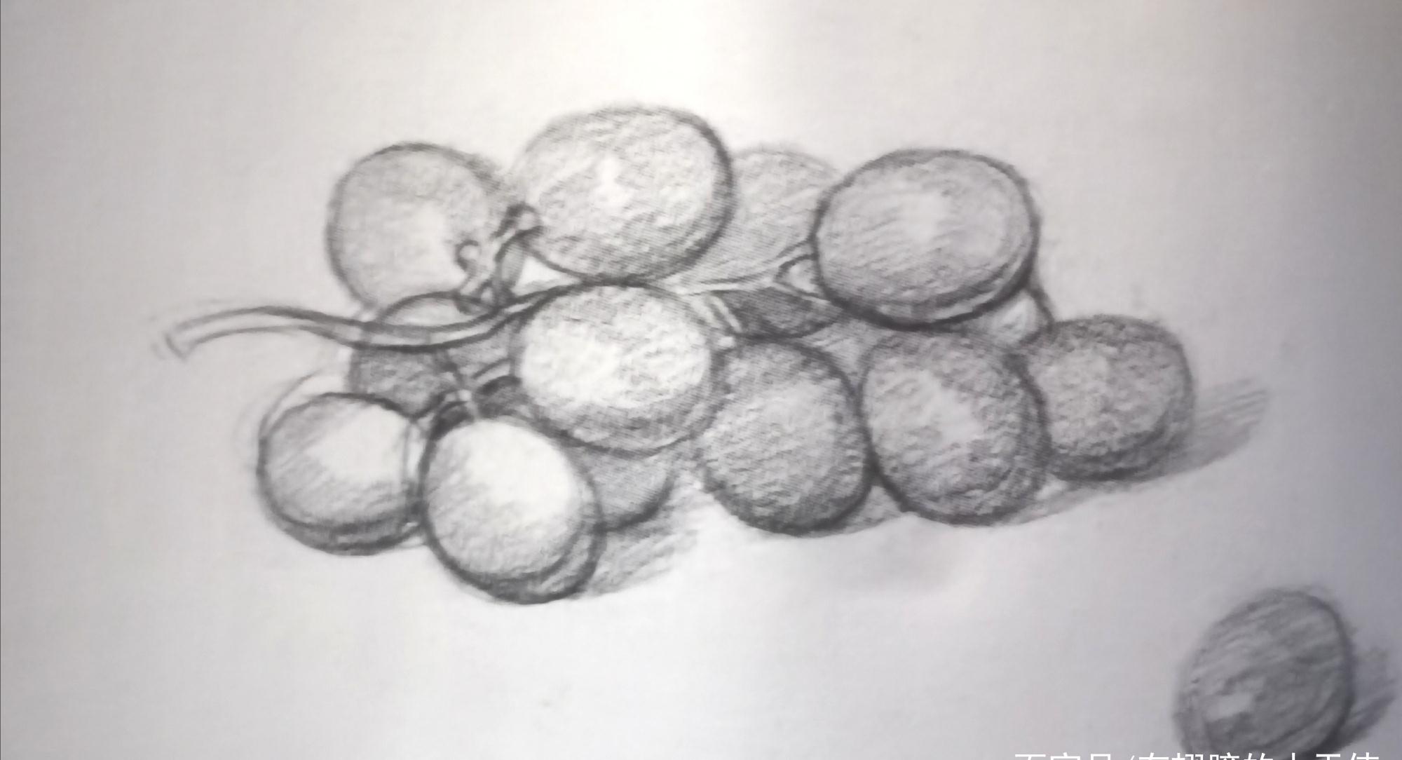 素描静物——葡萄步骤解析