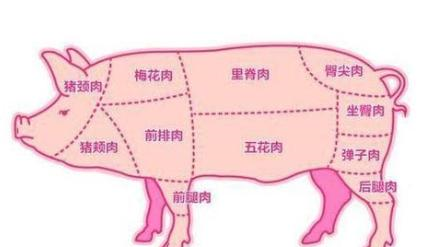 潮汕猪各部位肉叫法图片
