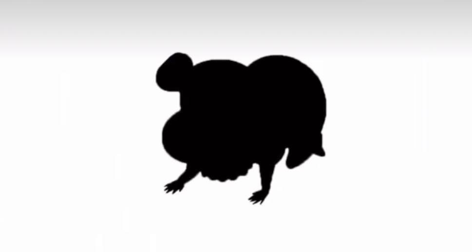 猜对是资深漫迷,最后一个很多人都会猜错|漫迷|超人气|黑影_新浪新闻