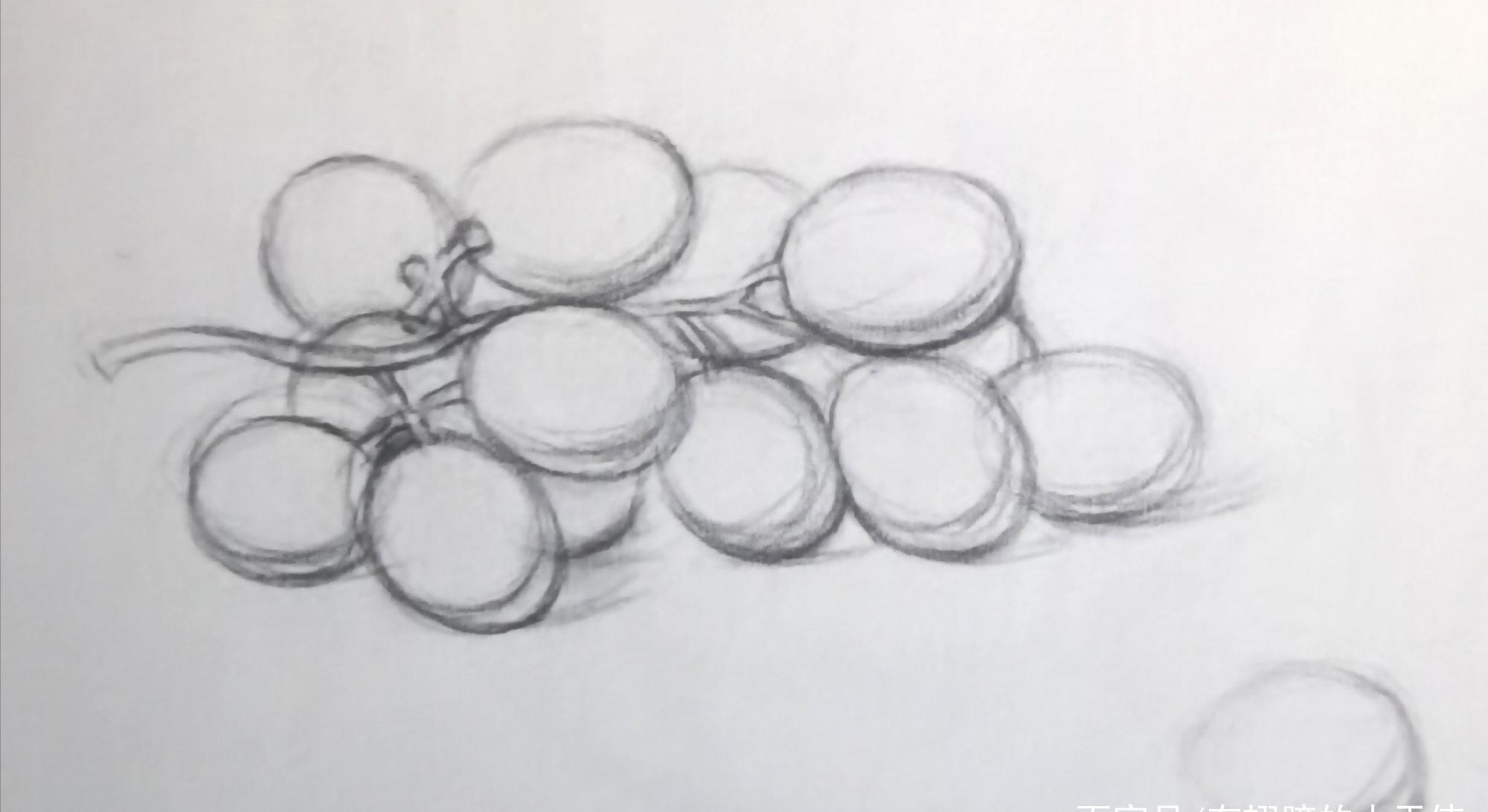 素描静物——葡萄步骤解析