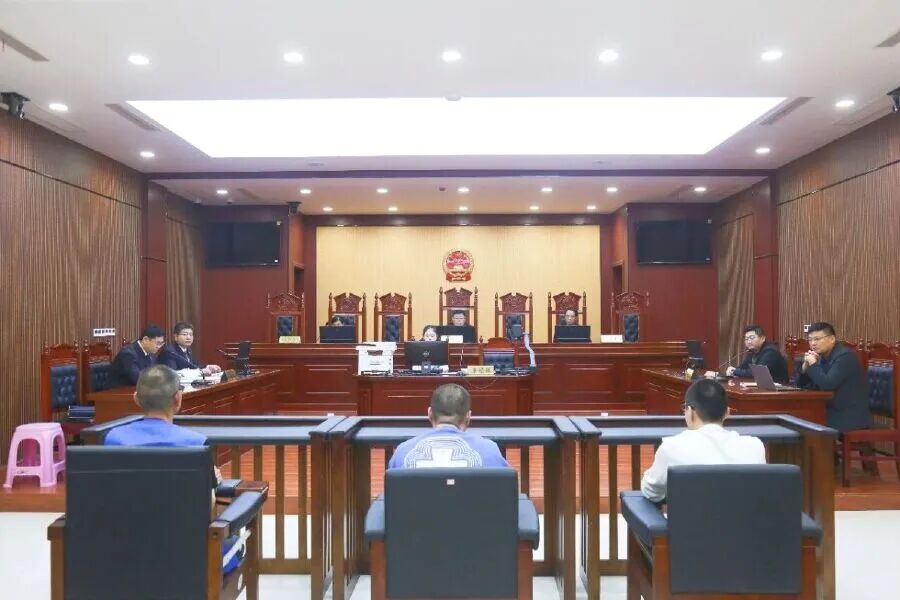 亲生父亲举报儿子诈骗：债主频繁上门辱骂威胁，实在是受不了了