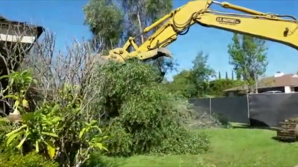 挖机挖树,真是大材小用了!