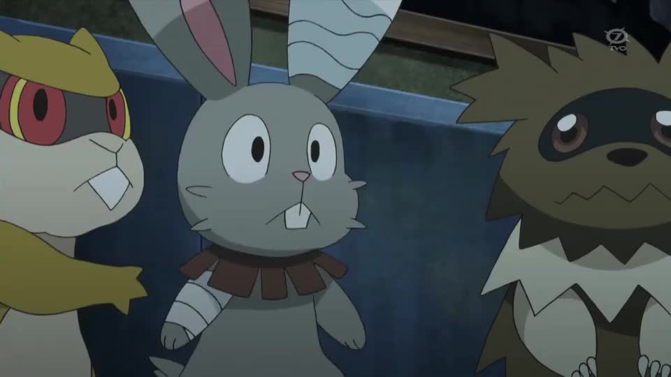 掘掘兔不甘心被抢地盘就算受伤也要向掘地兔反击