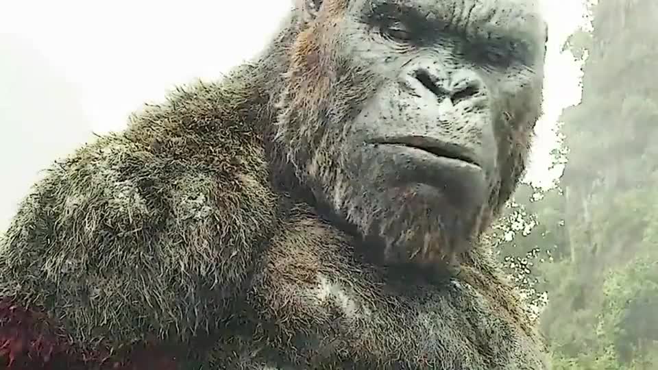 捕鱼达人骷髅岛靓仔