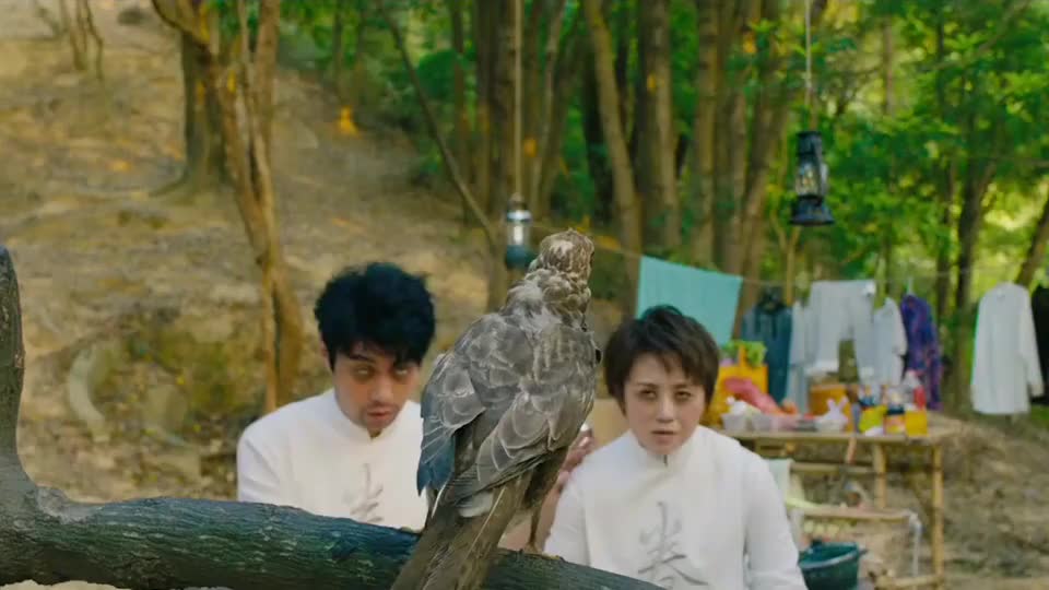 羞羞的铁拳:艾迪生上山熬鹰,这段太搞笑了