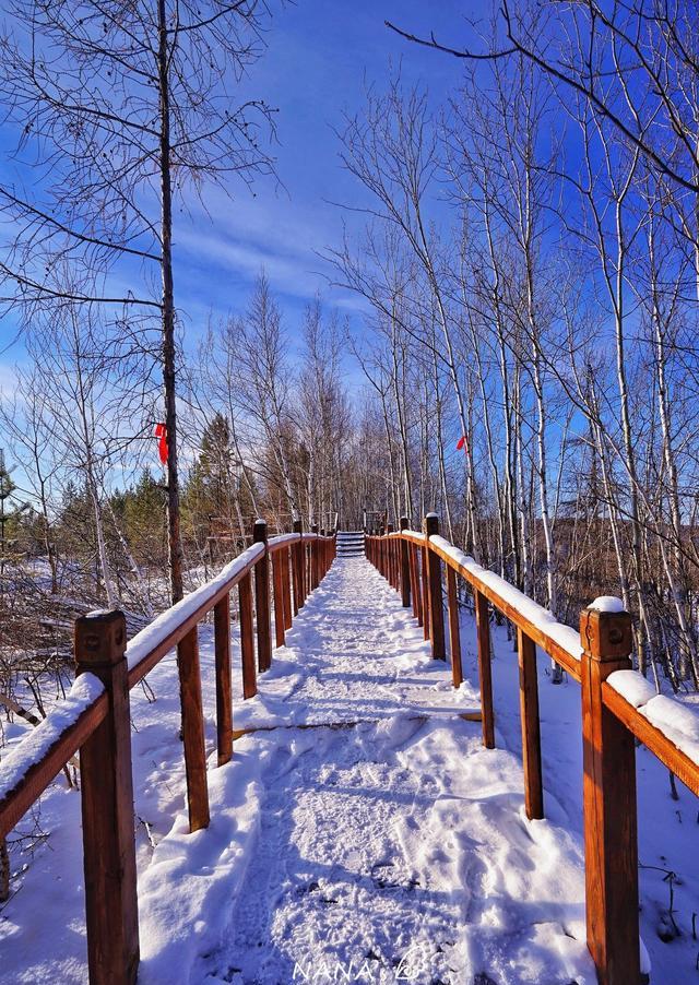 北方的冬天是什么样?可以来漠河游玩,南方人表示很就激动