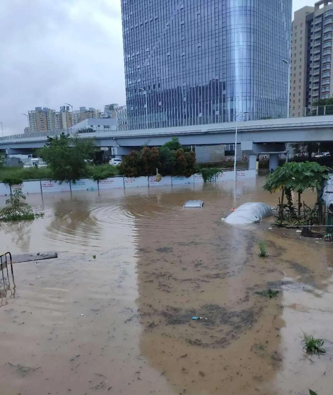 深圳遭暴雨宝安鹤洲被水围困大量车辆泡水
