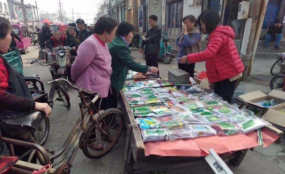 语文教材经典回忆 那些年课本里的难忘片段