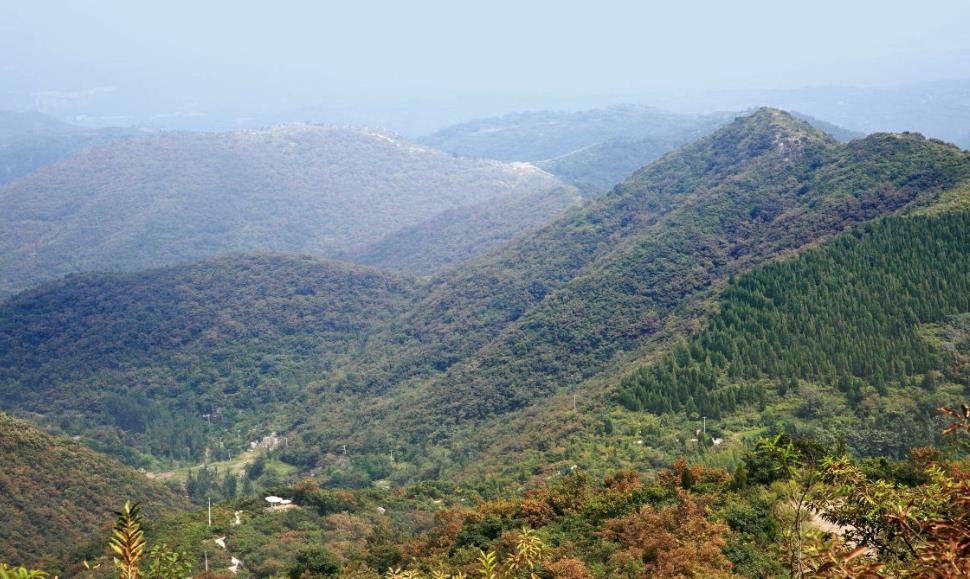 河南这个风景区,宛如仙境,美到惊叹|嵩山|大自然|风景区_新浪新闻