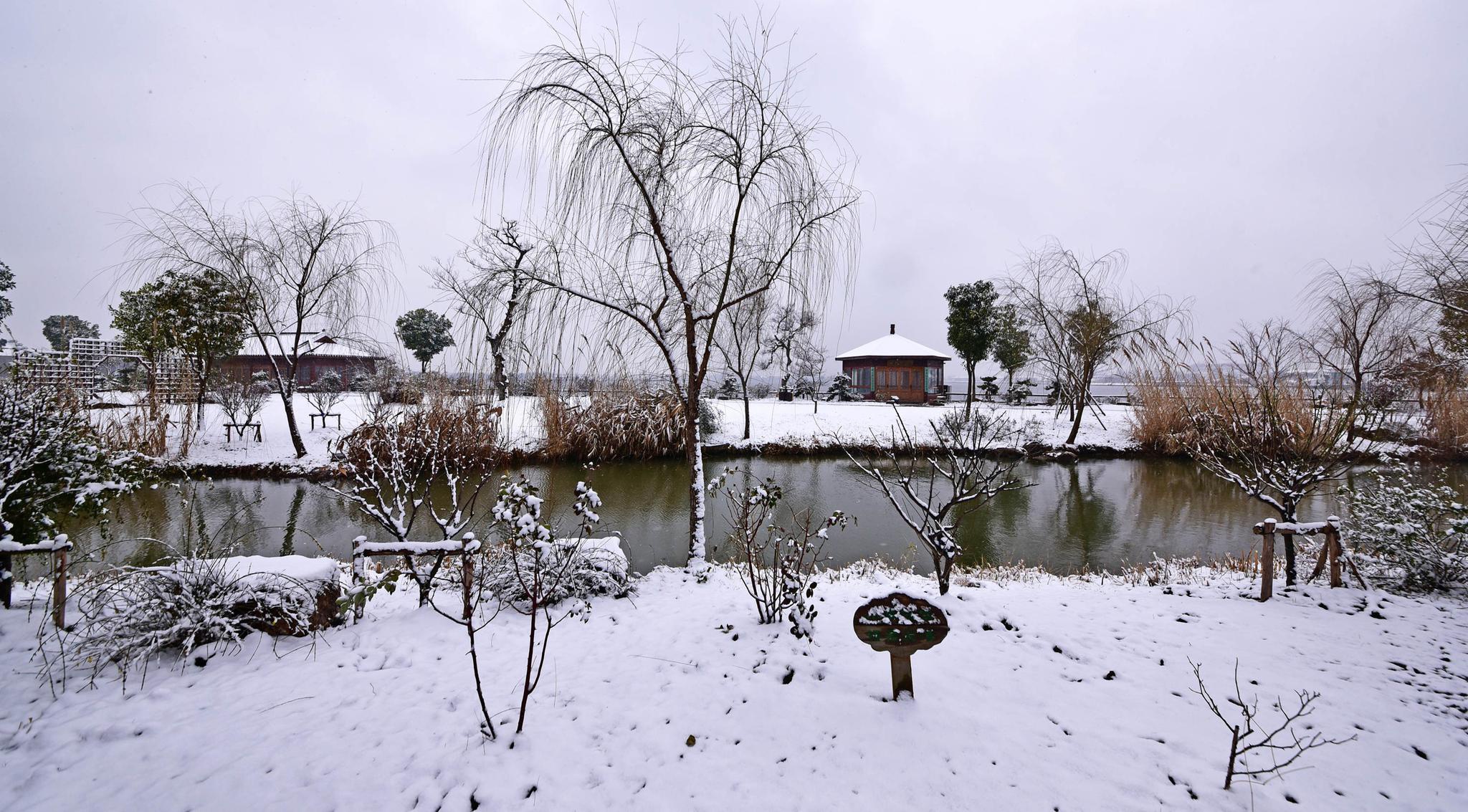 有雪的冬天才是完美的,这是无锡鹅湖玫瑰园的瑞雪图.
