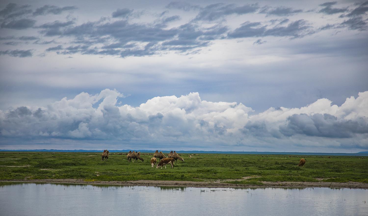 达里湖,内蒙古草原深处的"大海",一碧万顷,湖光山色格外迷人