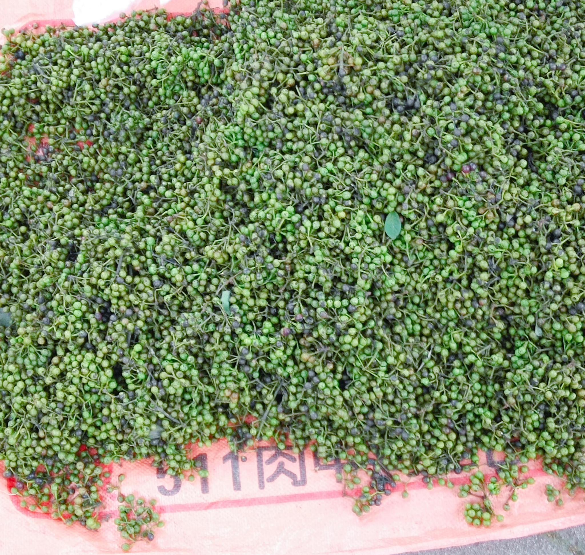 木姜油是木姜菜榨的油,还是木姜子熬的油呢