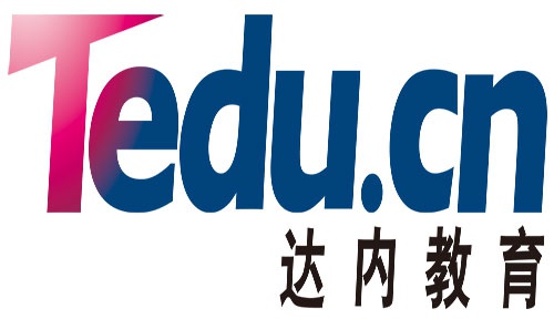 达内教育高级运营副总裁孙莹教育要久久为功不能一蹴而就