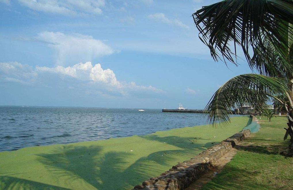 南美洲北部的马拉开波湖明明和海洋相连通为什么却是湖泊