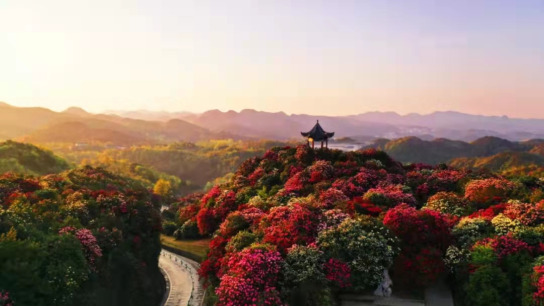 百里杜鹃赏花季毕节市人保财险心服务站为游客保驾护航