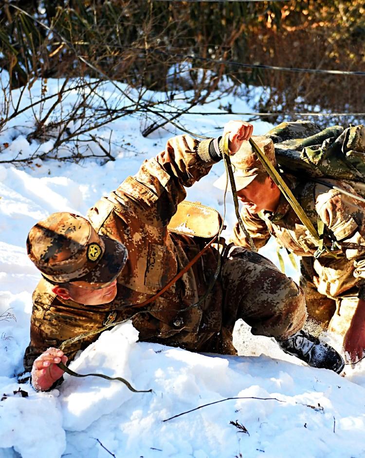 看见了青藏高原正在练兵和巡逻的官兵们你们是祖国最可爱的人