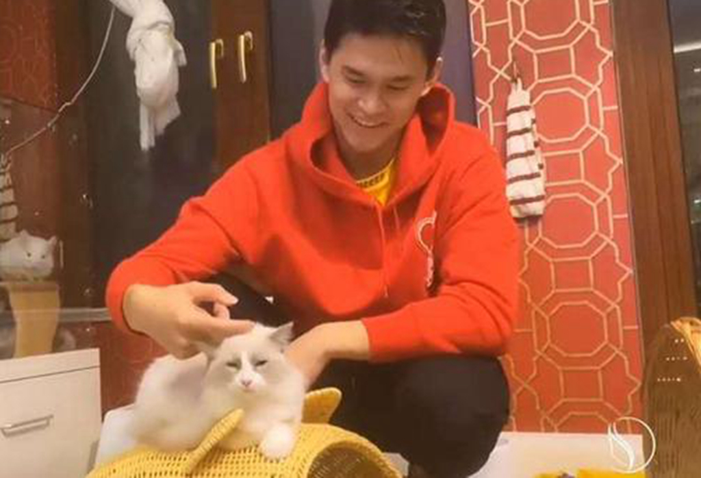 29岁孙杨在视频中现身！安静撸猫稍显落寞，禁赛风波意味着什么？休闲区蓝鸢梦想 - Www.slyday.coM