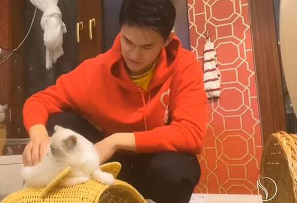 29岁孙杨在视频中现身！安静撸猫稍显落寞，禁赛风波意味着什么？休闲区蓝鸢梦想 - Www.slyday.coM