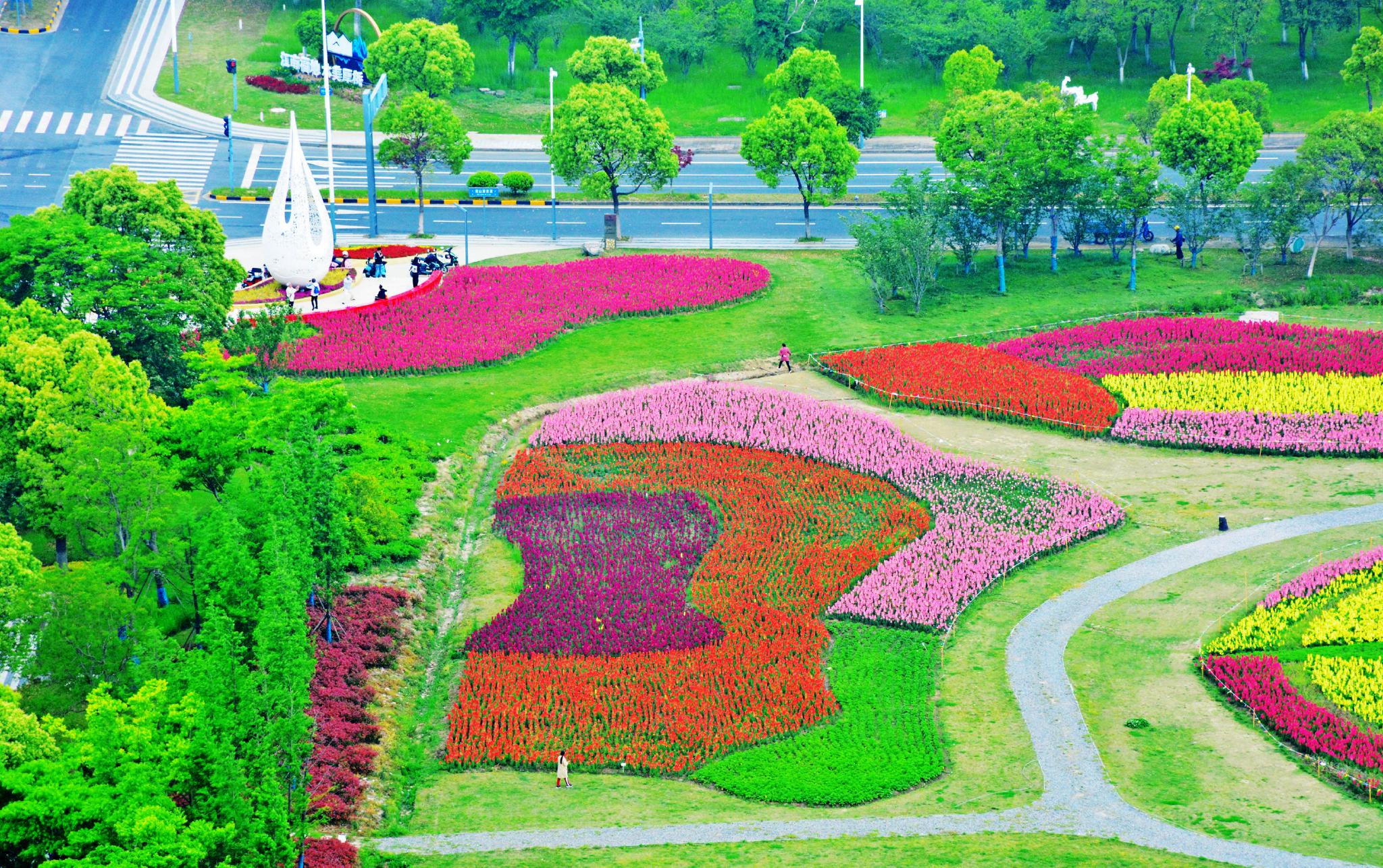 是谁把颜料打翻在宛山湖边宛心花田成了调色板