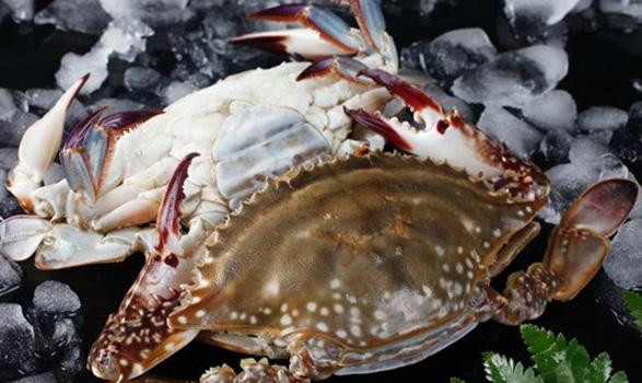 第一次吃鲜香味美的梭子蟹，买回来一煮，怎么是一个空...