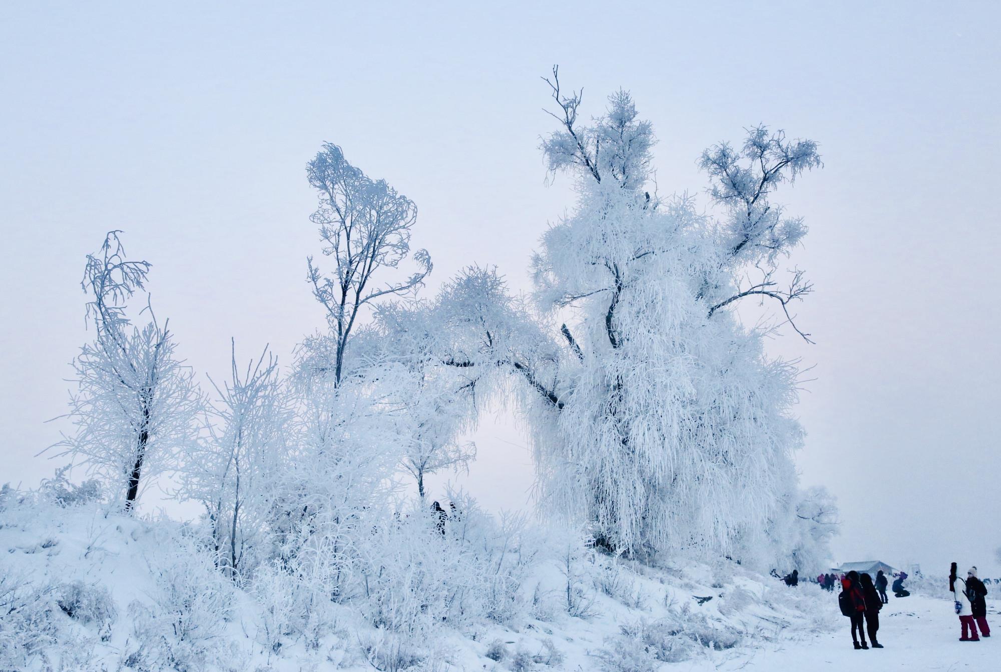 吉林雾凇岛冰雪仙境洁白晶莹的树挂令你如痴如醉