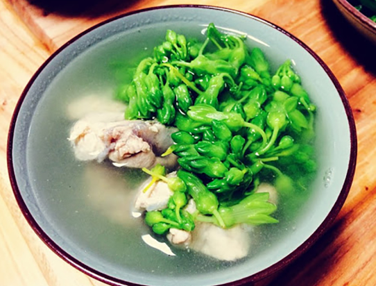 秋天喝千里香肉片汤最养人,清爽开胃不油腻,我家隔三差五煮一锅