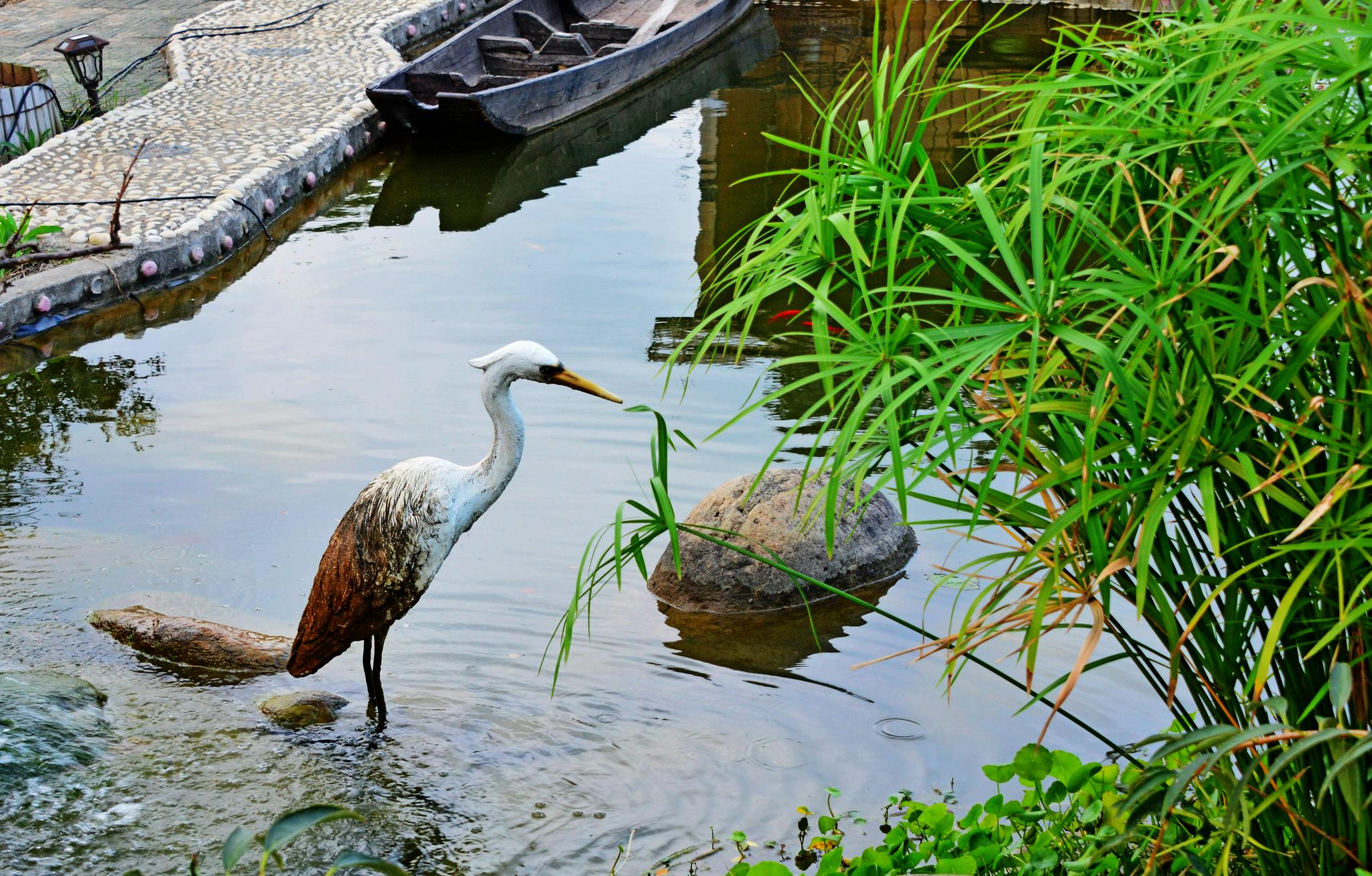 鹅湖镇|锡山区|白米_新浪新闻