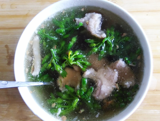 秋天喝千里香肉片汤最养人,清爽开胃不油腻,我家隔三差五煮一锅