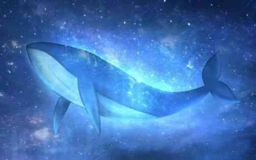 鲲鹏真的存在吗两千年前庄子在北海看到的到底是什么