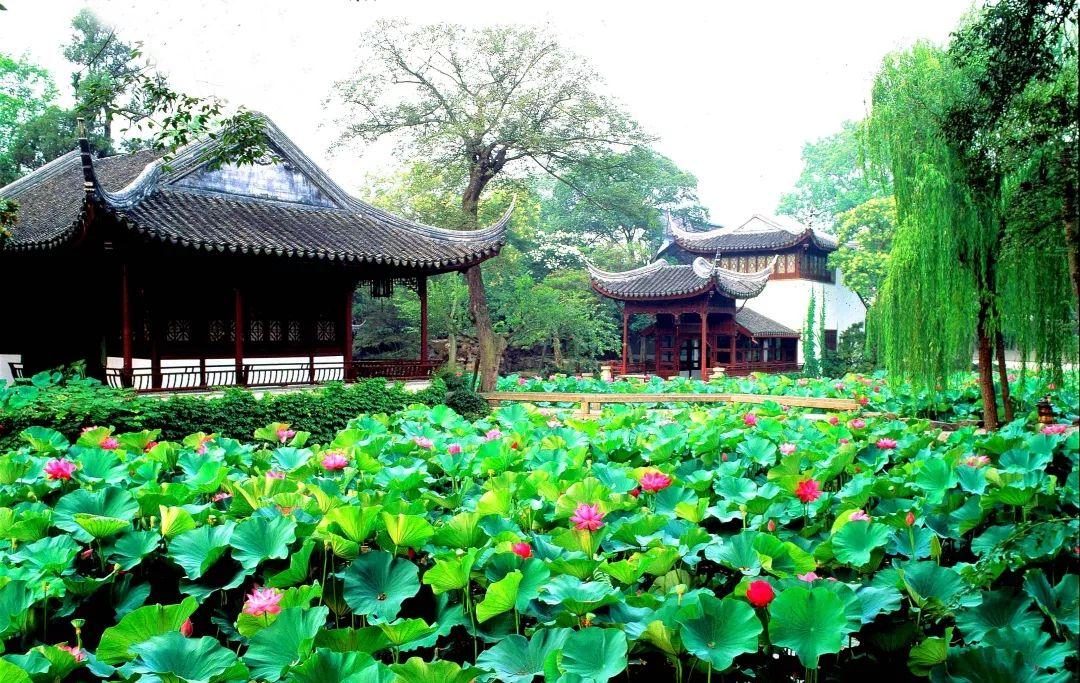 苏州最具代表性的这5座园林,每座园林中的精华你都了解吗?