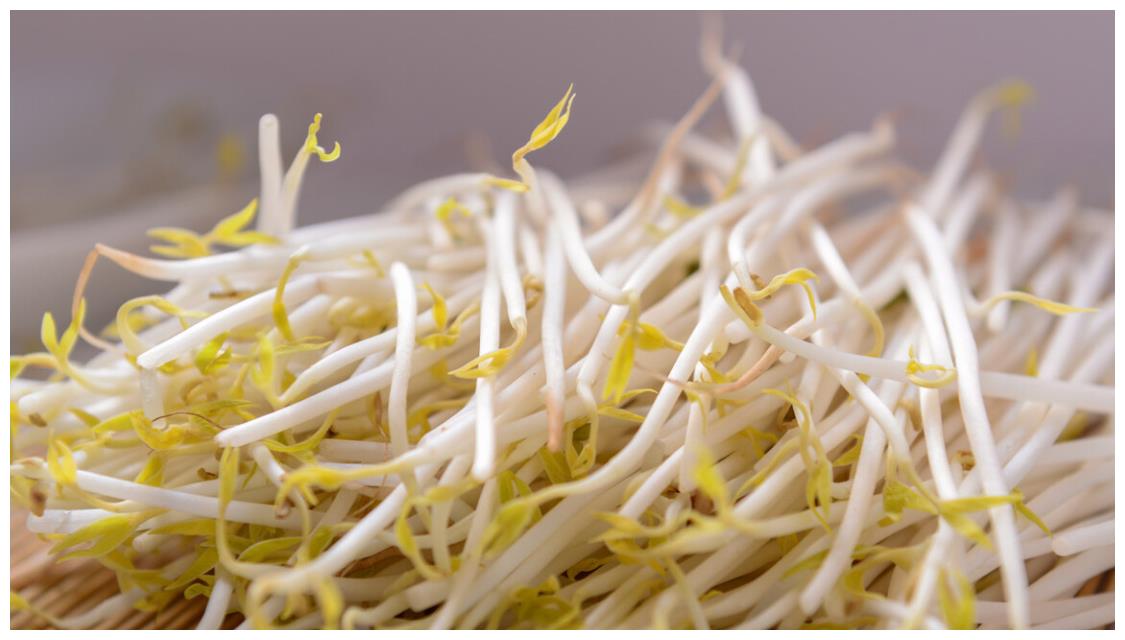 同样是豆芽,原来黄豆芽和绿豆芽差别这么大,学会不怕买错了