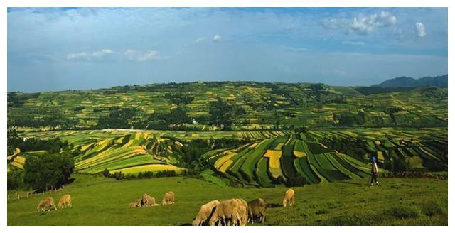 全书除佚散者外,遗有60余万字游记资料,徐霞客前期北登恒山,南及闽粤