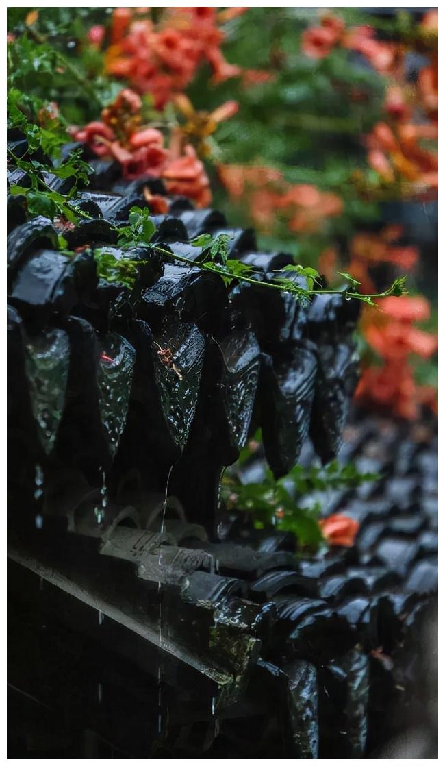 细雨做成秋 凉入心头,十首有关细雨的诗词,细雨说相思