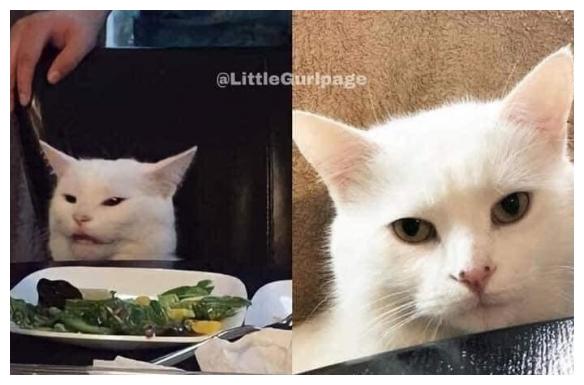 那些欧美网友爱用的meme表情包明星平时什么样