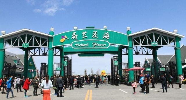 苏北小镇隐藏着国家aaaa风景区,景色太美了,我后悔错过了|荷兰|花海