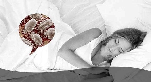 90后女生眼睛干涩发痒,睫毛上发现螨虫!医生:或因宠物猫感染休闲区蓝鸢梦想 - Www.slyday.coM 90后女生眼睛干涩发痒,睫毛上发现螨虫!医生:或因宠物猫感染休闲区蓝鸢梦想 - Www.slyday.coM