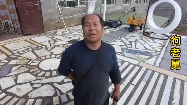 狗狗季节性咳嗽怎么办,一定注意及时治疗,老舅教你如何预防用药