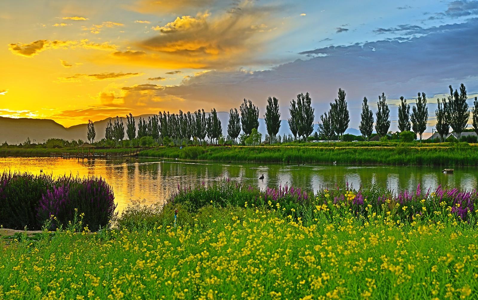 张掖甘州湿地之城美丽家园